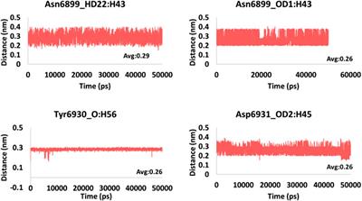 Pharmacophore Modelling-Based Drug Repurposing Approaches for SARS-CoV-2 Therapeutics